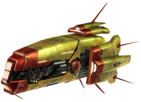 Barracuda